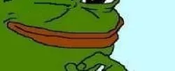 Frog (0617).jpg