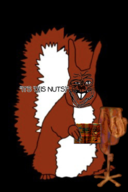 id_card iv_bag red_squirrel soyjak squirreljak squirrrelson trend_squirreljakking variant:sidson // 656x984 // 460KB