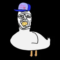artist:scullybully black_and_white ducks feathers hat series:silly_and_felly silly text variant:sidson // 959x959 // 79KB