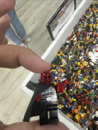 IMG_7973.jpeg