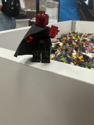 IMG_7971.jpeg