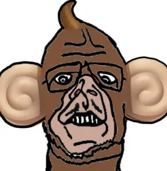 Monkey sid.JPG