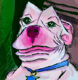 smugdog.png