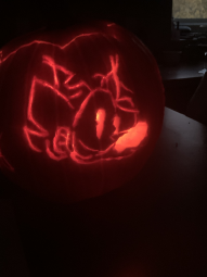 IMG_4967.jpeg