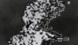 ClipboardImage.png