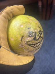 Thread thumbnail