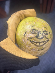 IMG_7213.jpeg