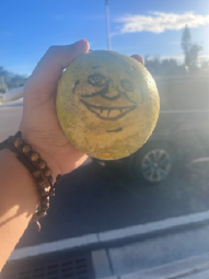 IMG_7207.jpeg