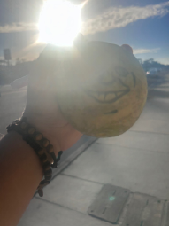 IMG_7206.jpeg