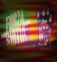 polotique background 2.png