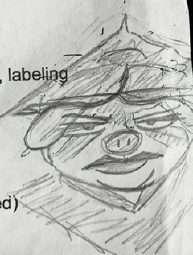 IMG_2013.jpeg