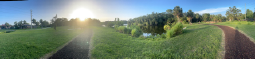 IMG_8717.jpeg