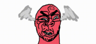 index.webp