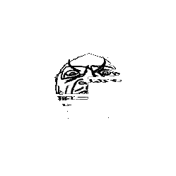 3dgifmaker86074.gif