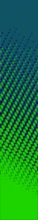 Banner 1.PNG