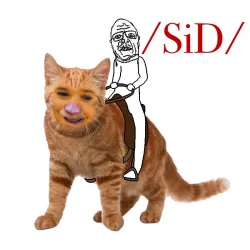 Sidson on the catty.jpeg