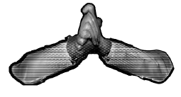 menacing hands.png