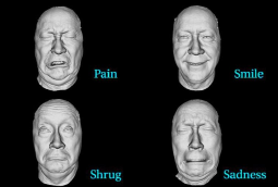 Expressions.png