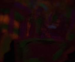 IMG_4203.jpeg