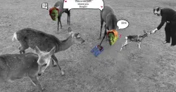 SotM deer.JPG